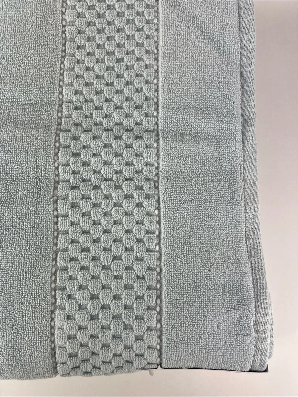 DKNY Bath Sheet Set 2 Pale Blue Towels Plush Cotton Quick Dry Zero Twist NEW